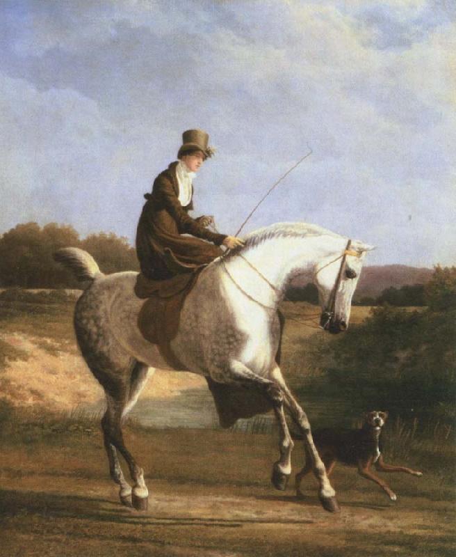 Jacques-Laurent Agasse miss cazenove on a grey hunter oil painting picture